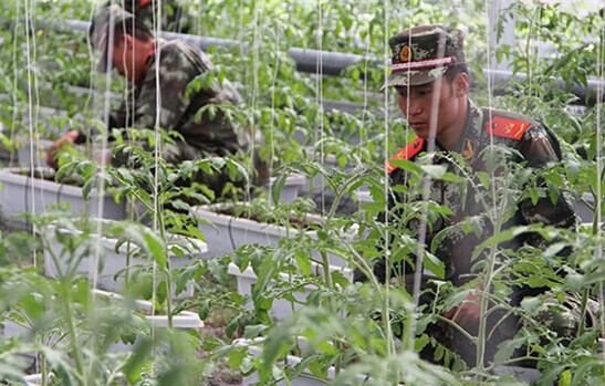 ���Z׃�F������ԭ�ٱ���������